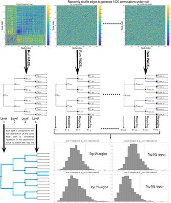 From Default Mode Network to the Basal Configuration: Sex Differences in the Resting-State Brain Connectivity as a Function of Age and Their Clinical Correlates